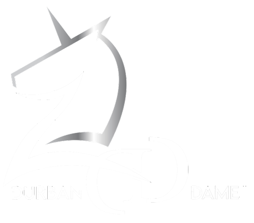 A logo of the city of durban