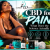 CBD for pain educational graphic discussing clinical research and cannabiniod science by Durban Dames